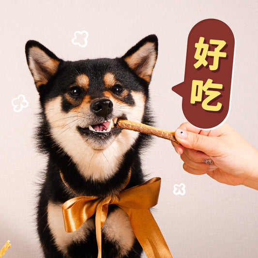 Treat Time|台灣人氣吉拿棒