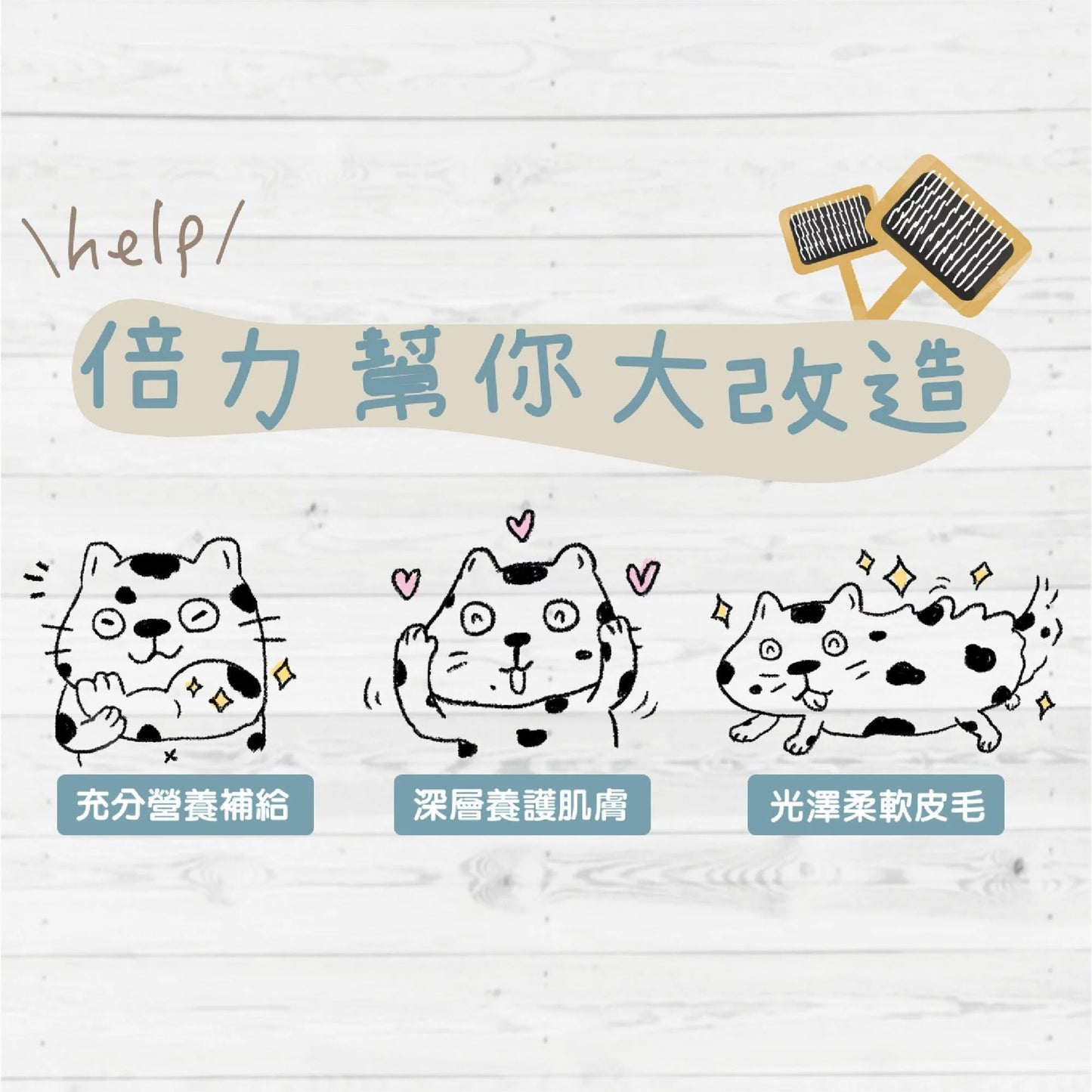 【營養保健品】倍力鱉蛋爆毛粉7日體驗組 (7包/盒)|寵物橫町