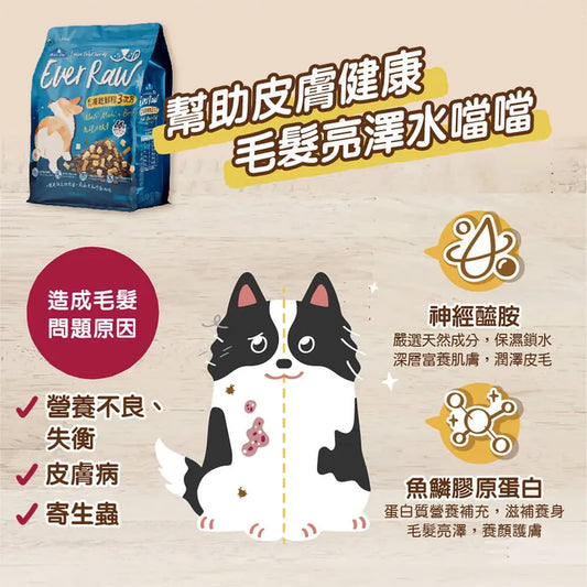 Ever Raw 凍乾鮮糧3次方 (鬼頭刀牧牛-護膚保健)|寵物橫町