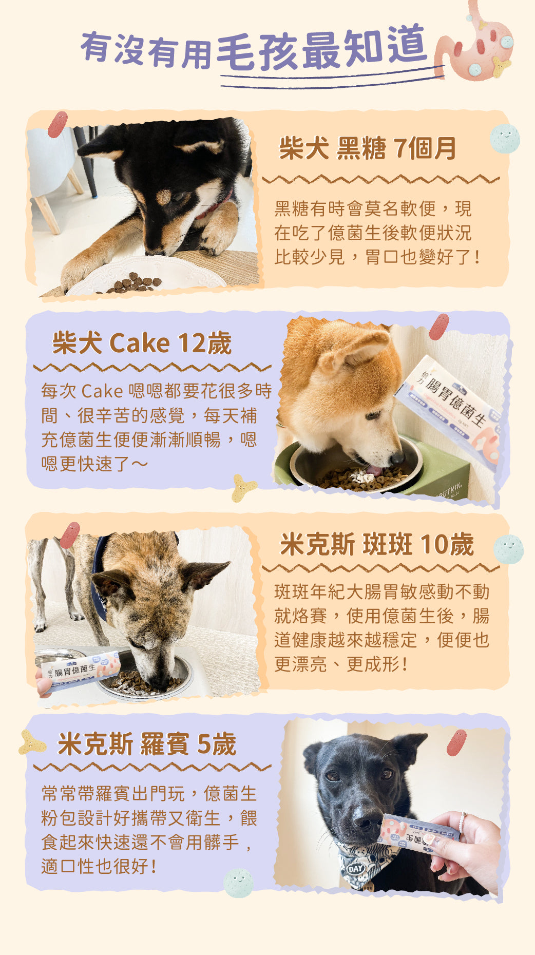 【營養保健品】倍力腸胃億菌生7日體驗組 (7包/盒)|寵物橫町