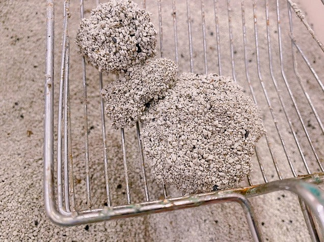 貪貪烏金菱角豆腐砂 2.5kg |寵物橫町