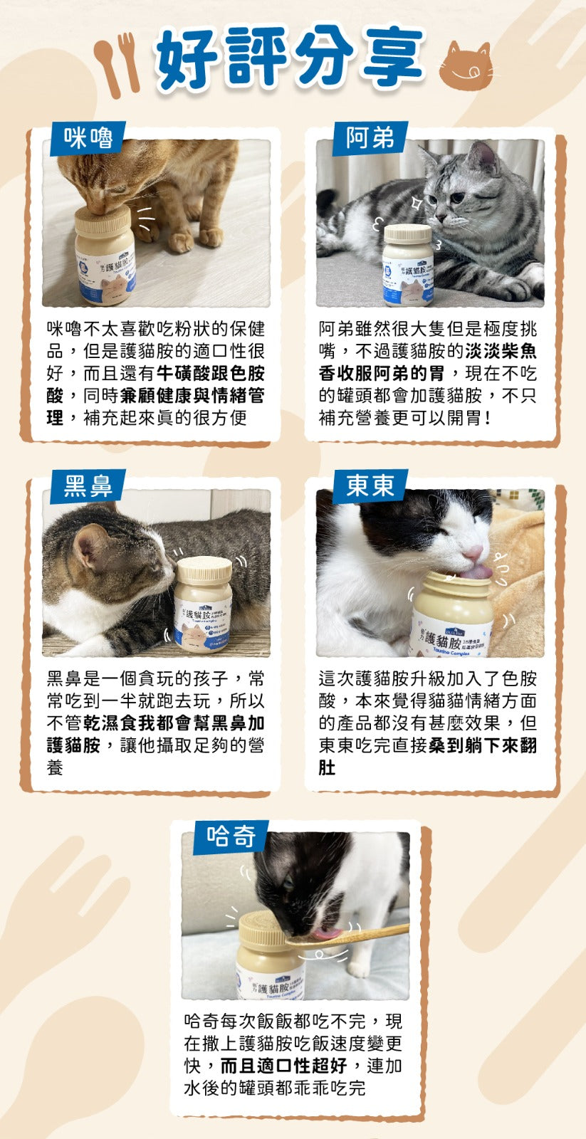 【營養保健品】倍力護貓胺 (18種必須胺基酸) |寵物橫町