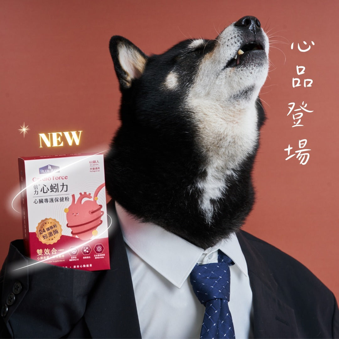 倍力心蚓力-心臟專護保健粉 30入 | 寵物橫町