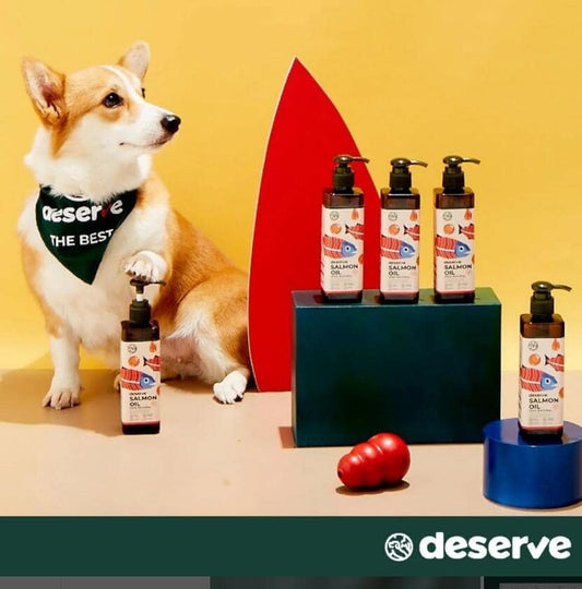 泰國三文魚油|寵物橫町