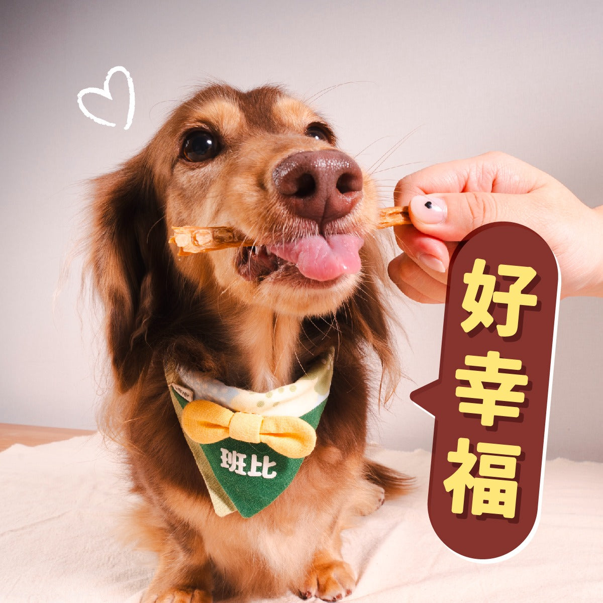 Treat Time|台灣人氣吉拿棒