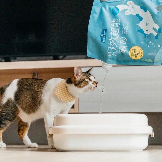 倍力三效超能礦砂 4kg|寵物橫町