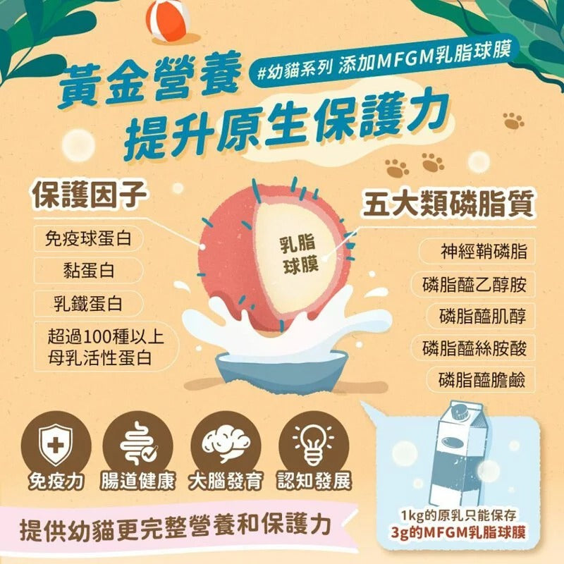 【海島貓罐】- 幼貓組 | 寵物橫町