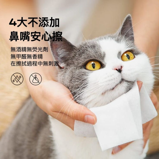 IRIS-銀離子Ag+寵物專用抗菌濕紙巾 (80枚入)|寵物橫町