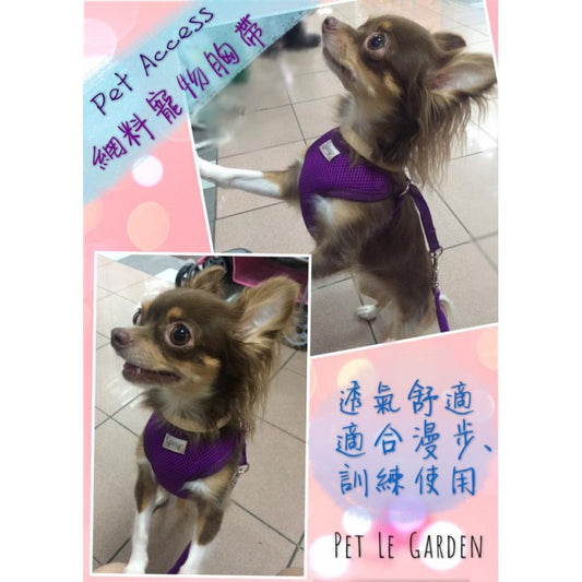 透氣網料胸帶|寵物橫町