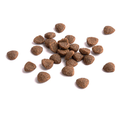 S30 低敏狗飼料|鮭魚+甜薯 (舒敏護膚配方)|寵物橫町