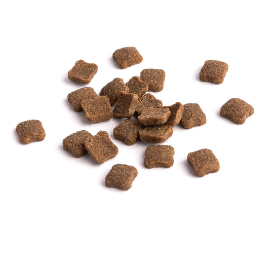 S30 低敏狗飼料|羊肉+南瓜 (關節保健配方)|寵物橫町