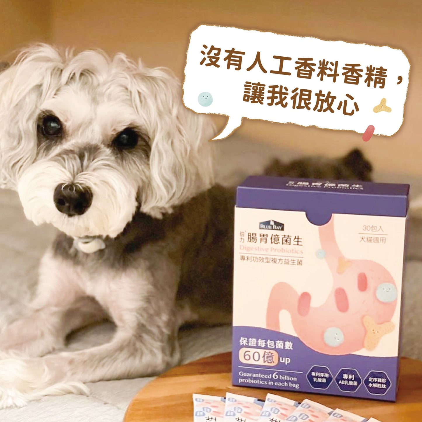 新產品 - 倍力腸胃億菌生 (30包)|寵物橫町