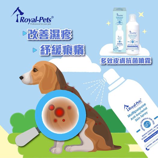 (貓犬用) 多效皮膚抗菌噴霧 | 寵物橫町