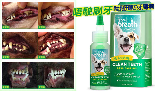 純天然潔牙齒凝露 | 寵物橫町