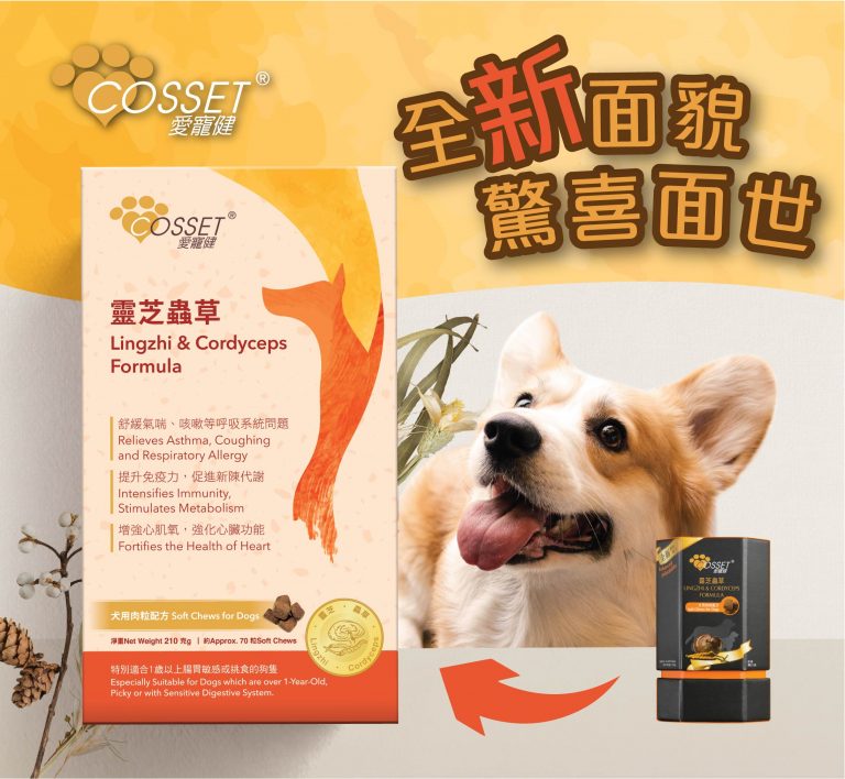 靈芝蟲草犬用肉粒配方|寵物橫町