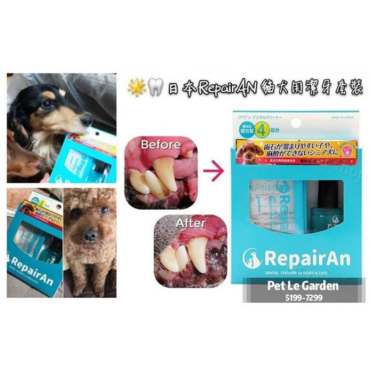 貓狗適用潔齒去牙石套裝 | 寵物橫町