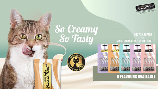 Fussie Cat 高竇貓天然肉醬小食 (多款口味) |寵物橫町