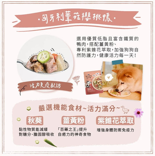 純肉狗鮮食餐包 JUMBO系列|匈牙利蕈菇櫻桃鴨-活力免疫|寵物橫町