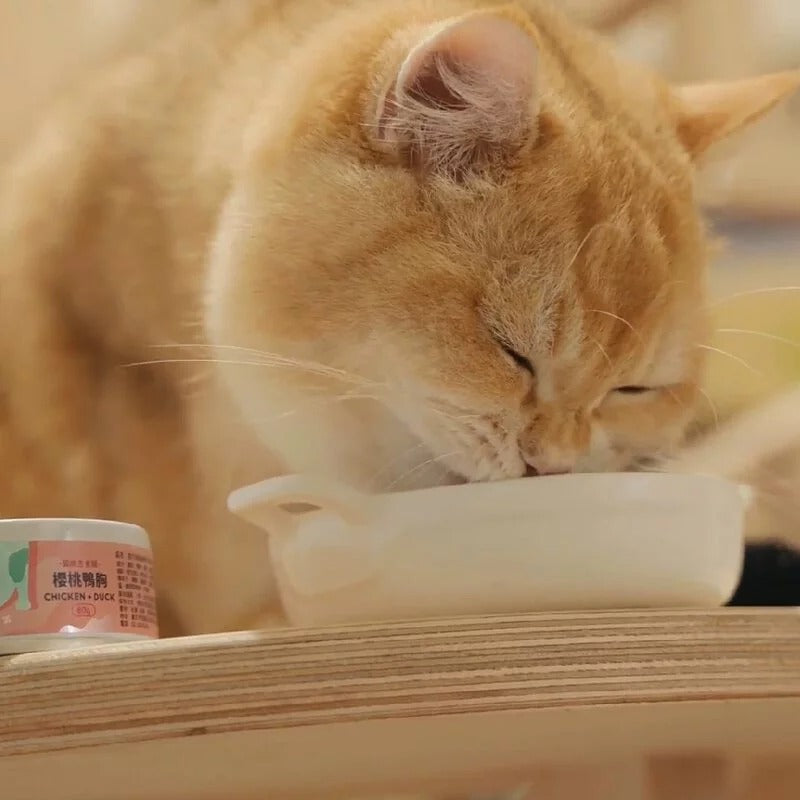 【海島貓罐】- 成貓組 | 寵物橫町