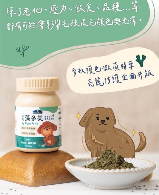 藻多美 海藻胜肽護色保健粉 (護色亮毛 / 免疫配方)｜寵物橫町